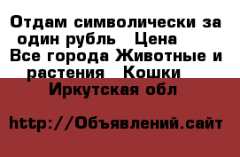 Отдам символически за один рубль › Цена ­ 1 - Все города Животные и растения » Кошки   . Иркутская обл.